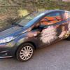 Autocollant de carrosserie